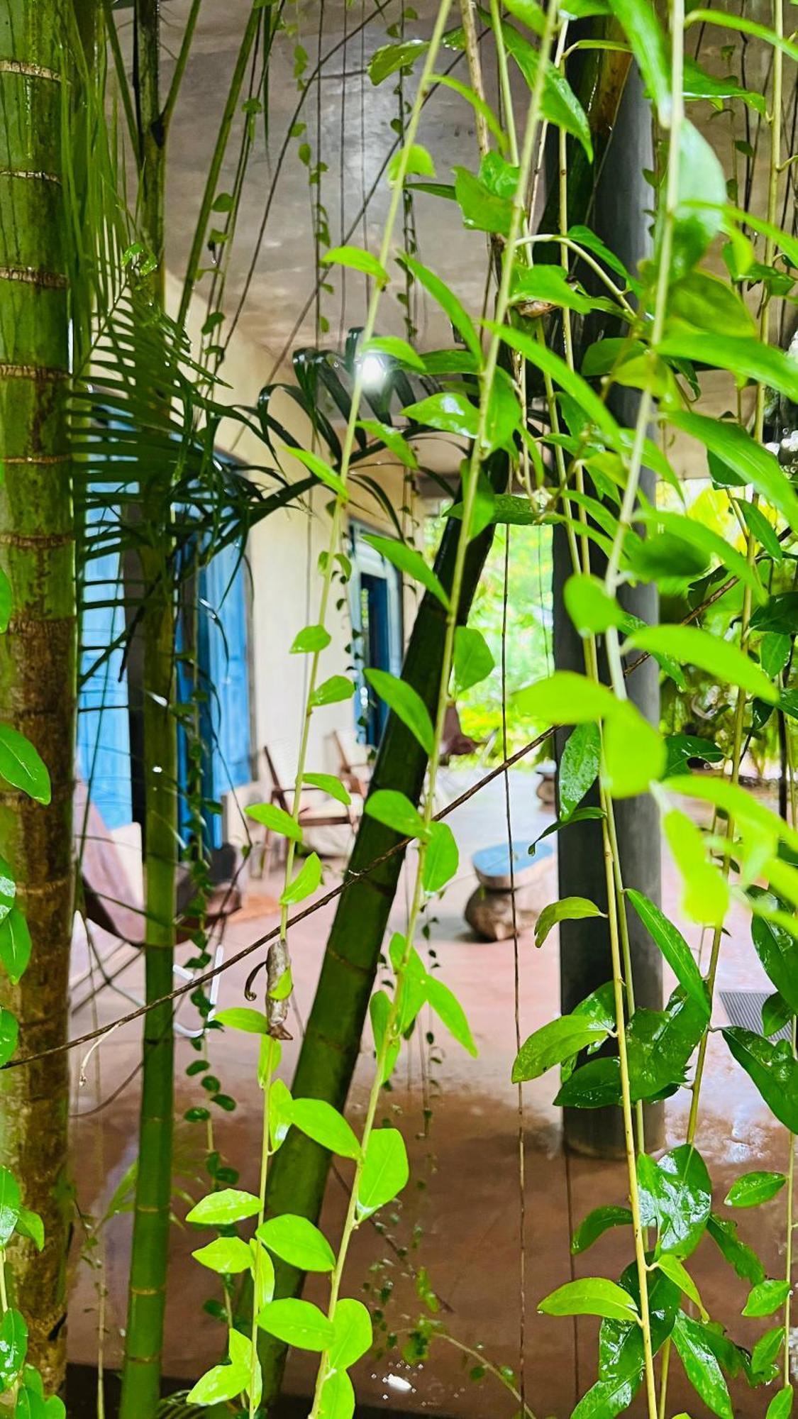 Kataragama Homestay Esterno foto