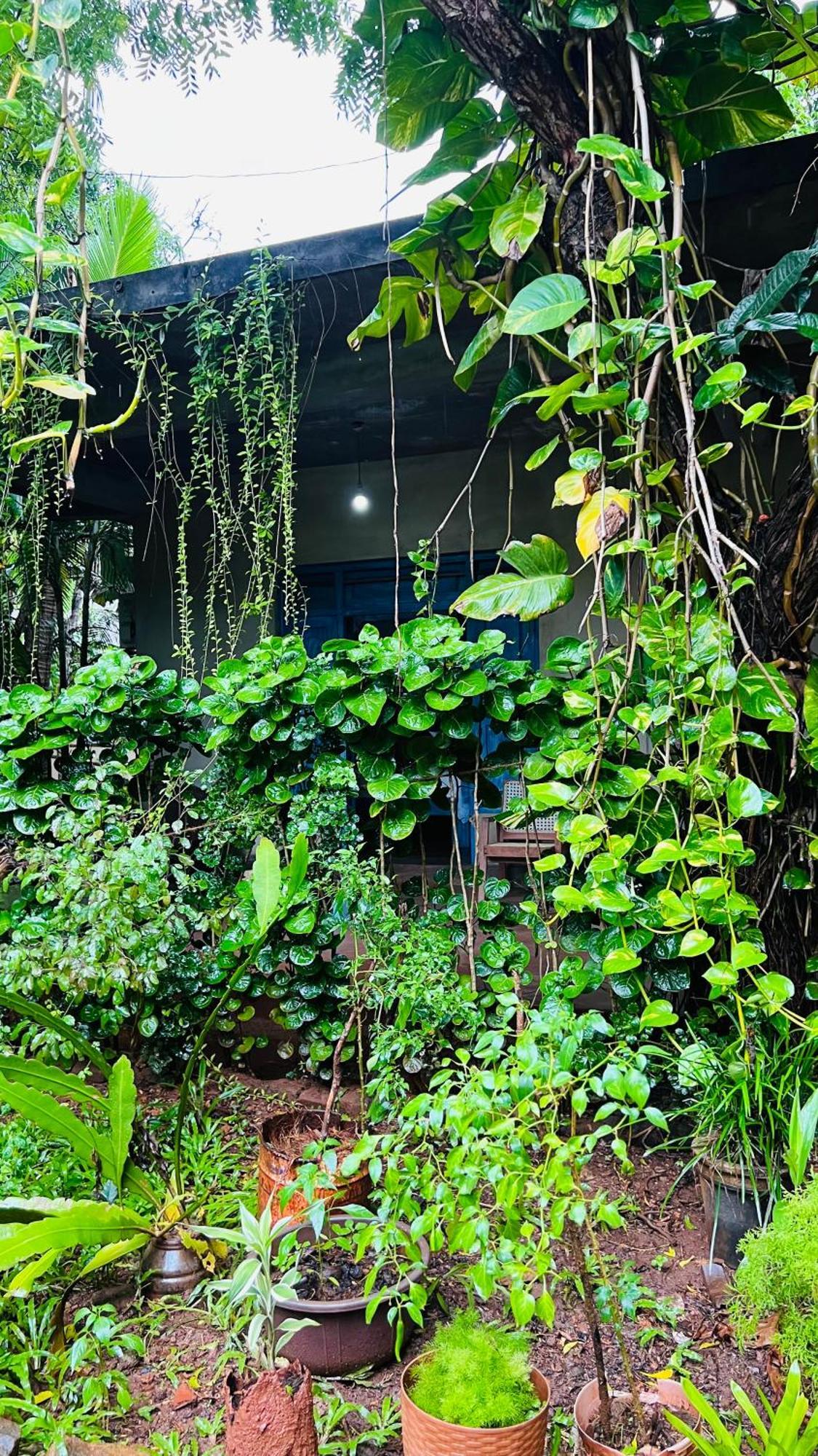 Kataragama Homestay Esterno foto