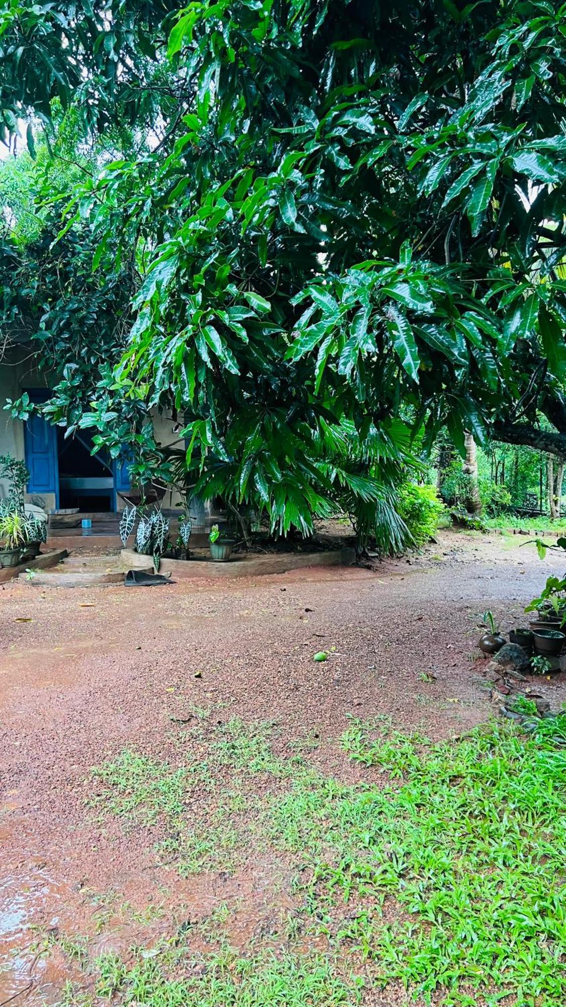 Kataragama Homestay Esterno foto