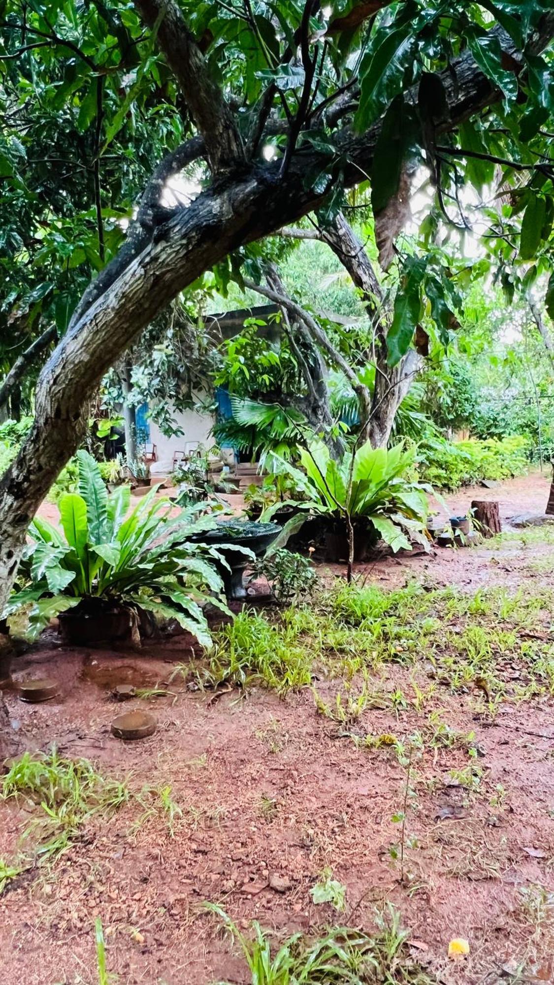 Kataragama Homestay Esterno foto
