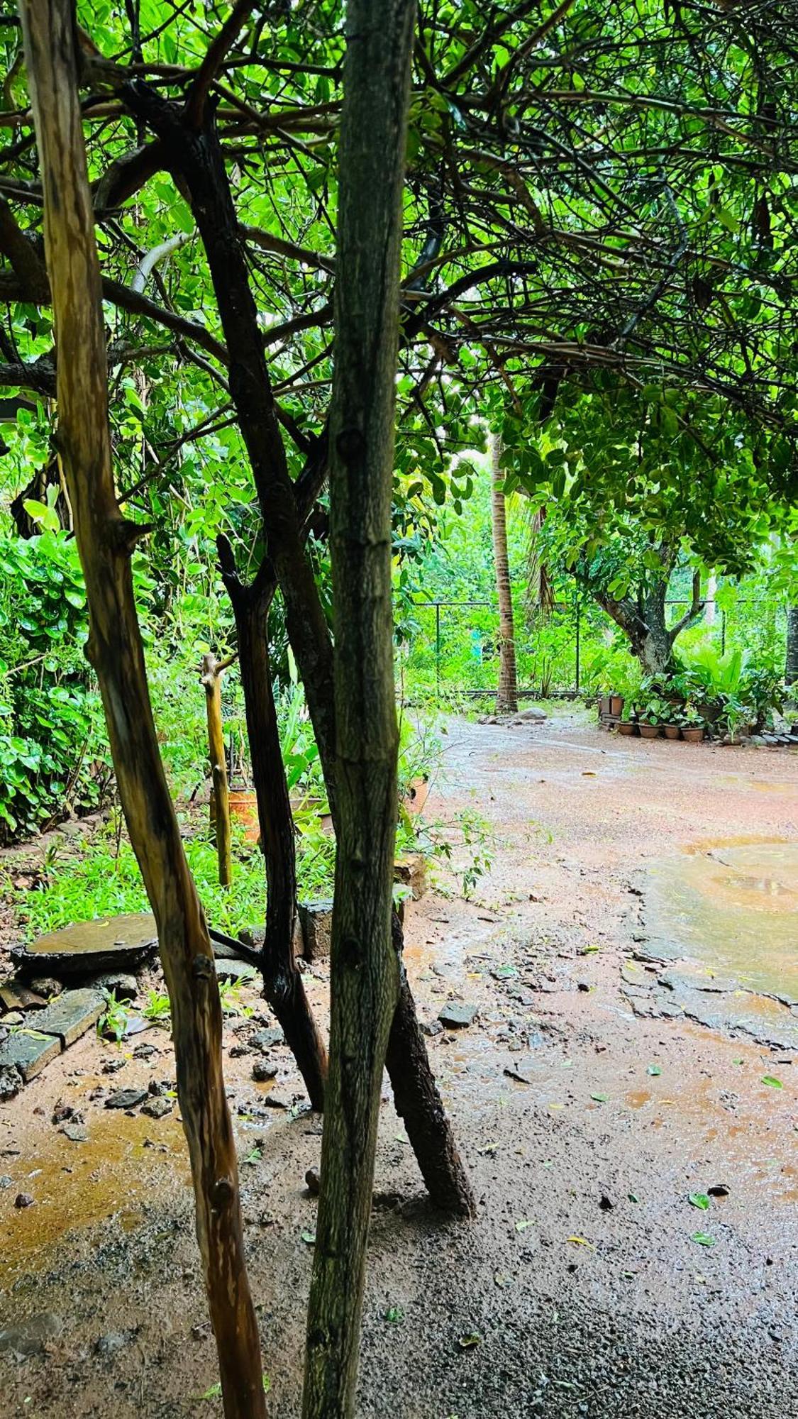 Kataragama Homestay Esterno foto